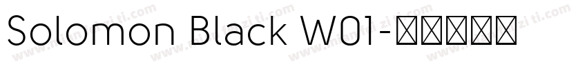 Solomon Black W01字体转换